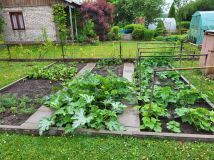 Działka rod Białystok, ul. Adama Mickiewicza. Zdjęcie 3