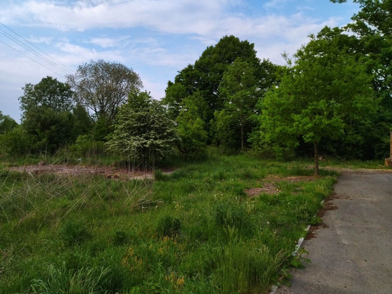 Działka budowlana Darżewo. Zdjęcie 9