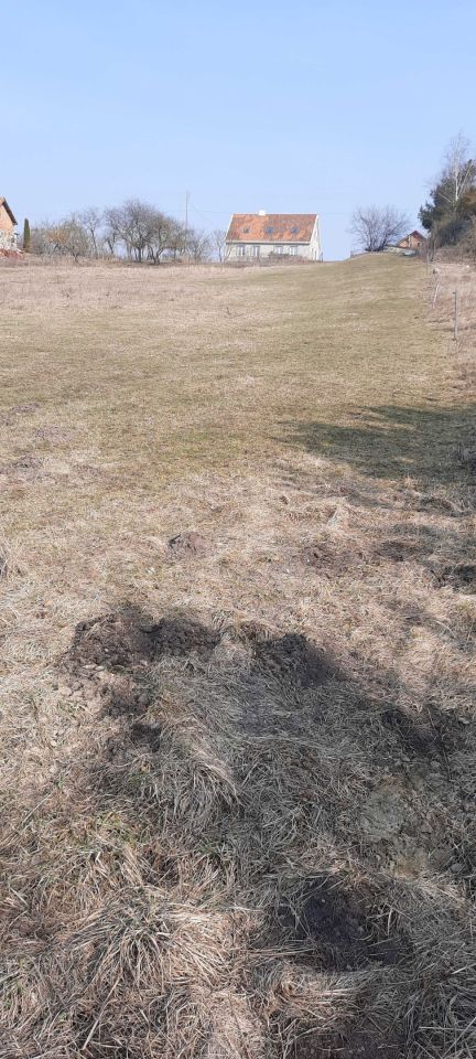 Działka rolna Stare Krzywe. Zdjęcie 3