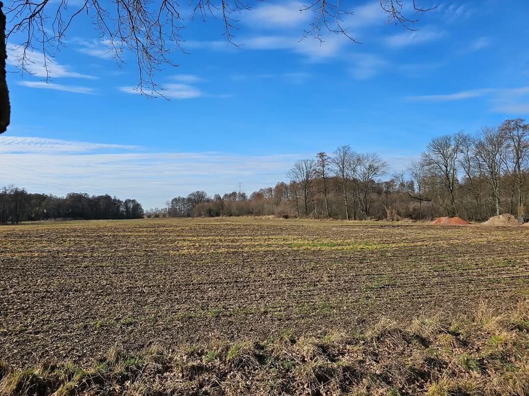 Działka budowlana Gronówko. Zdjęcie 4