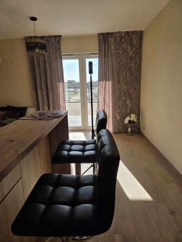 Mieszkanie 1-pokojowe Dopiewiec. Zdjęcie 1