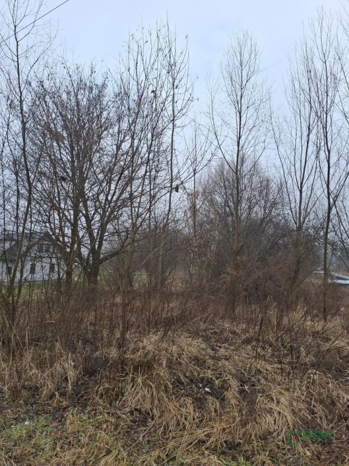 Działka Brzeszcze, ul. Przecieszyńska. Zdjęcie 5