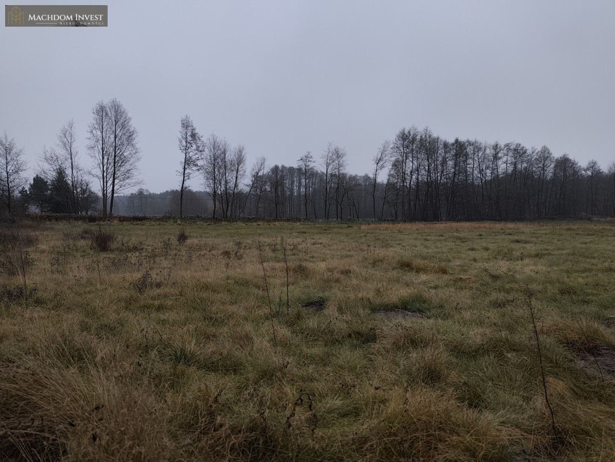 Działka budowlana Cegielnik. Zdjęcie 5