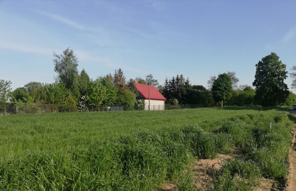 Działka budowlana Charbice Dolne. Zdjęcie 3