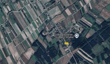 Działka leśna Wola Baranowska, ul. Zalesie