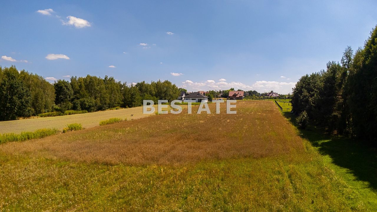 Działka budowlana Lisia Góra. Zdjęcie 3