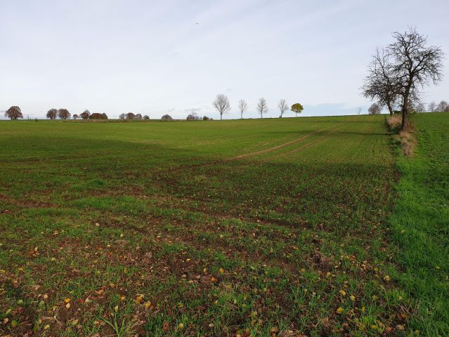Działka siedliskowa Gwiazdowo. Zdjęcie 1