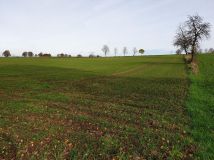 Działka siedliskowa Gwiazdowo