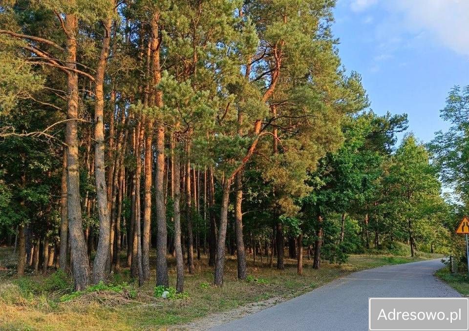 Działka budowlana Ugniewo. Zdjęcie 4