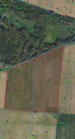 Działka rolna Rudziszki. Zdjęcie 1