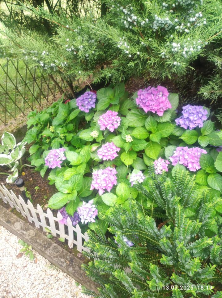 Działka rod Lubin. Zdjęcie 8