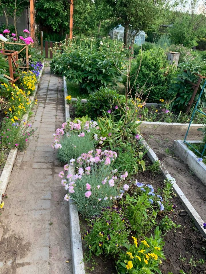 Działka rod Dankowo. Zdjęcie 7