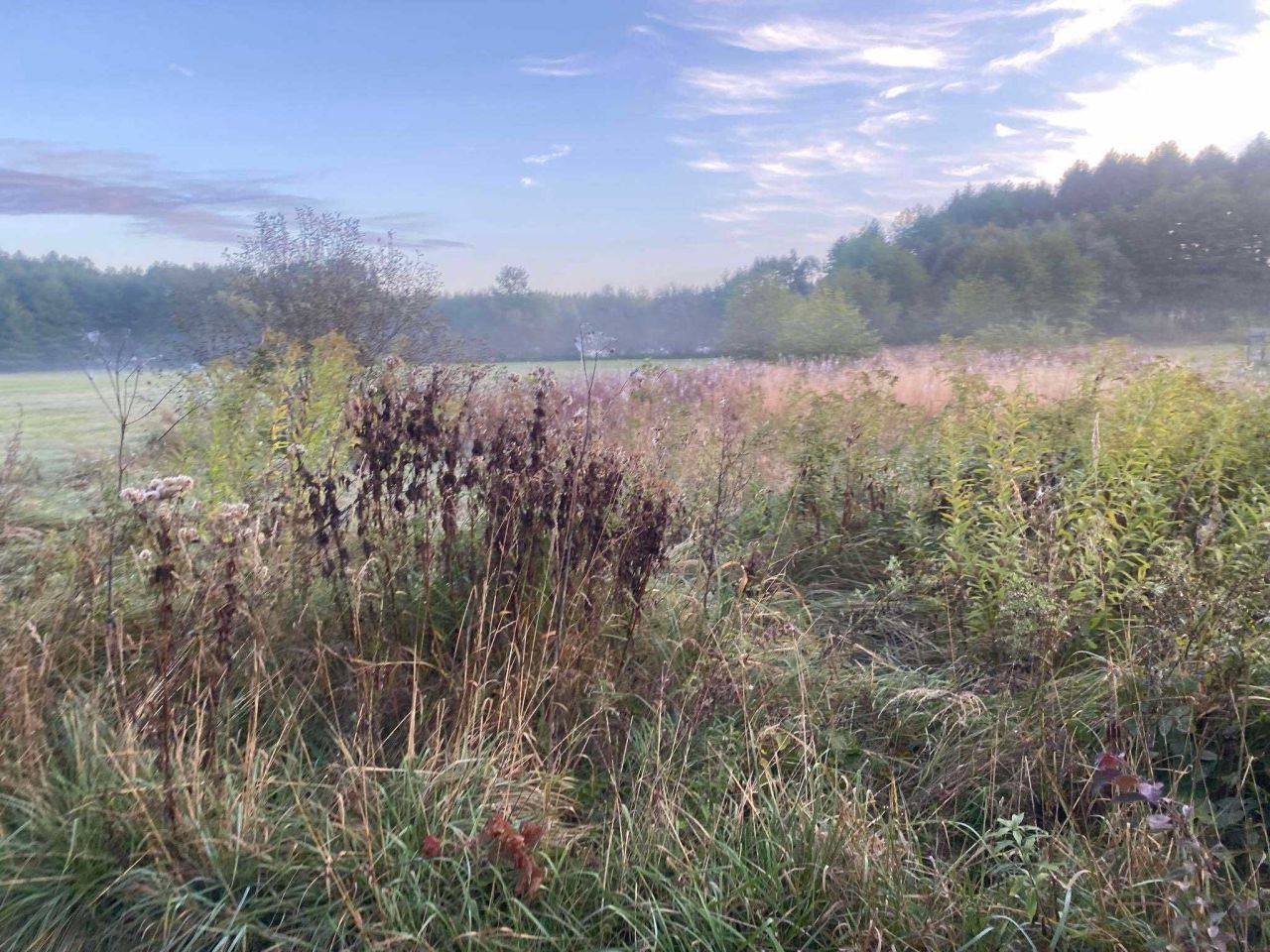 Działka rekreacyjna Malużyn. Zdjęcie 6