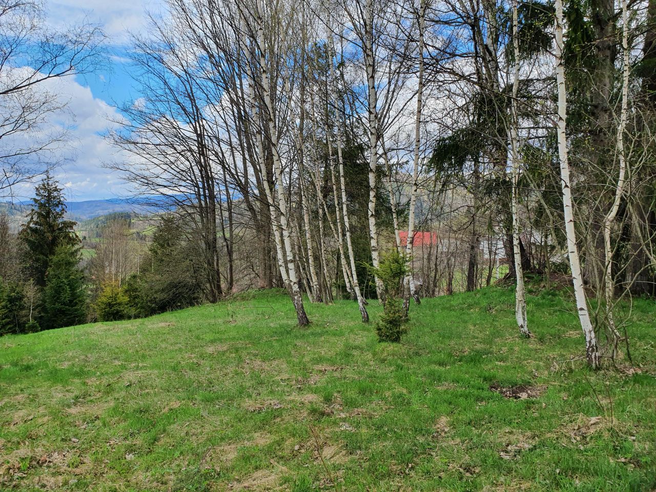 Działka rolno-budowlana Glinka Worniczki. Zdjęcie 4