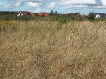 Działka budowlana Dołuje, ul. Wilcza. Zdjęcie 3