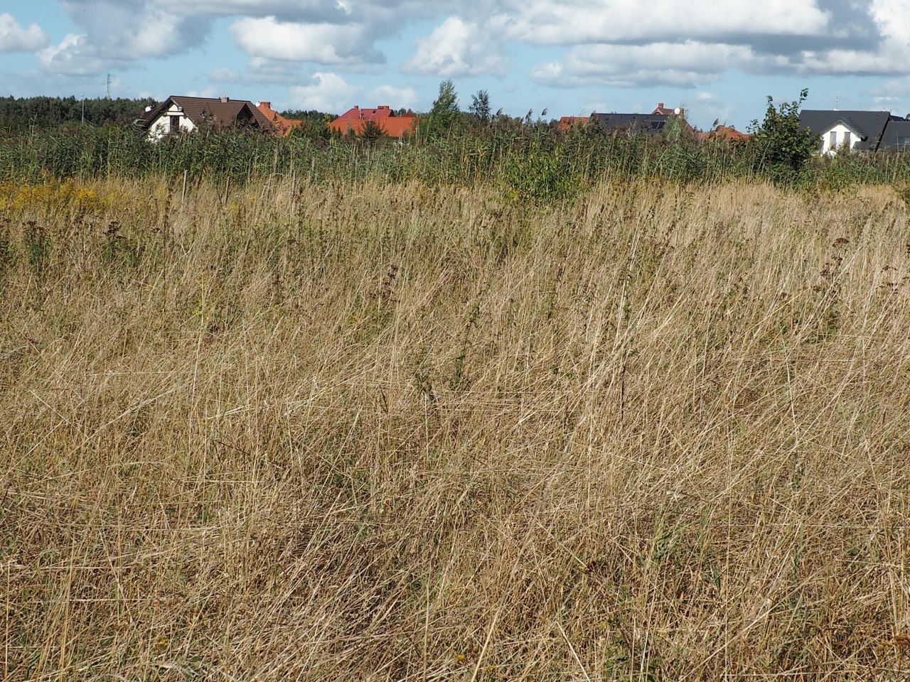 Działka budowlana Dołuje, ul. Wilcza. Zdjęcie 4