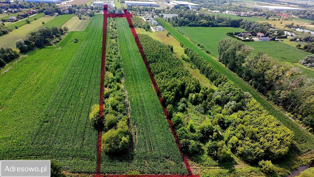 Działka inwestycyjna Natolin. Zdjęcie 10