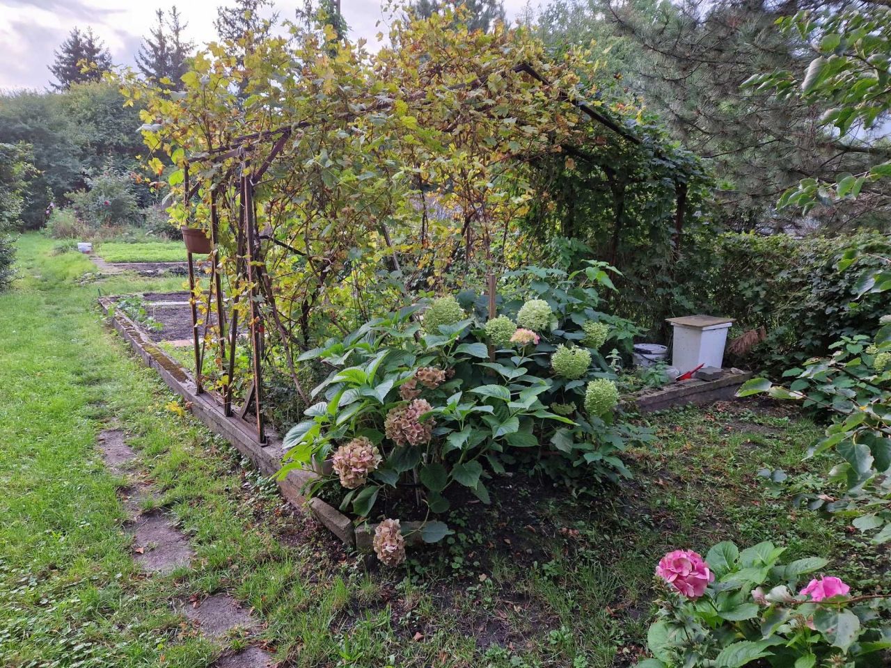 dom wolnostojący, 4 pokoje Mrągowo. Zdjęcie 6