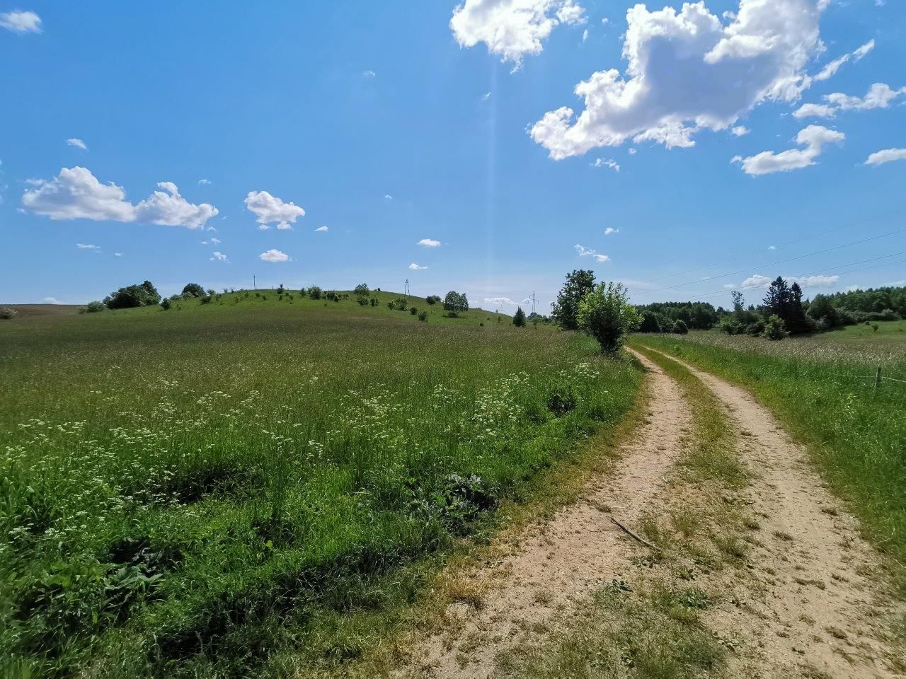 Działka rolno-budowlana Wężówka. Zdjęcie 3