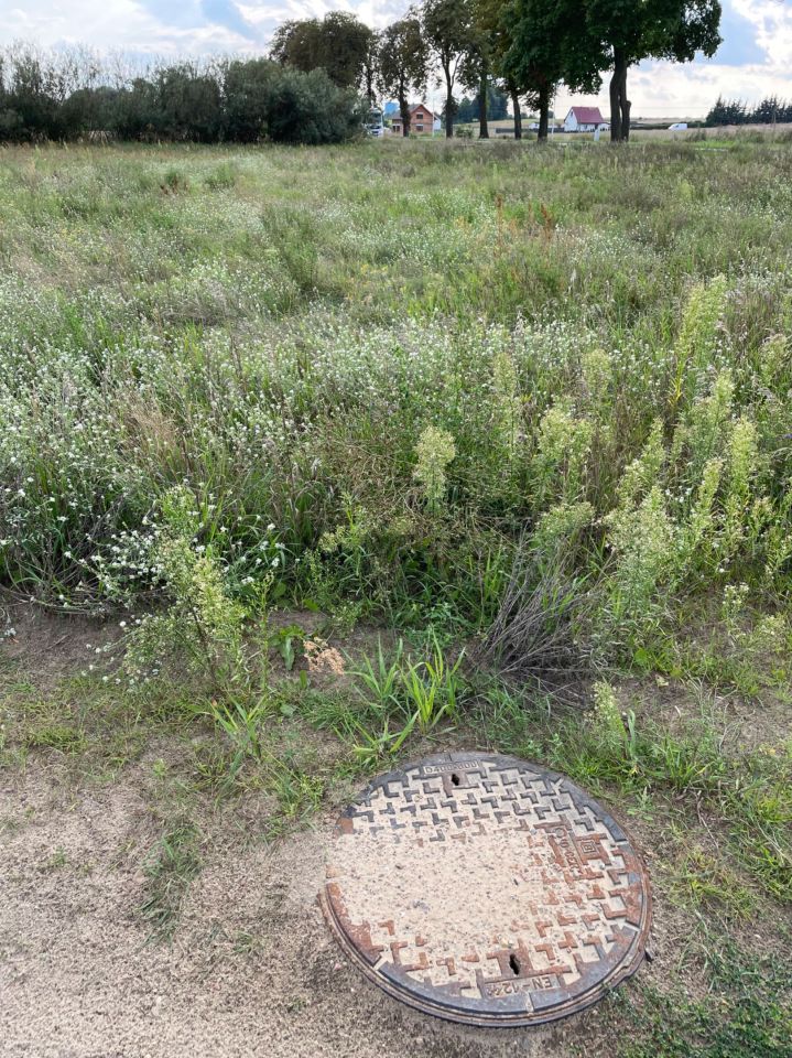 Działka budowlana Rybno Wielkie, ul. Lipowa. Zdjęcie 8