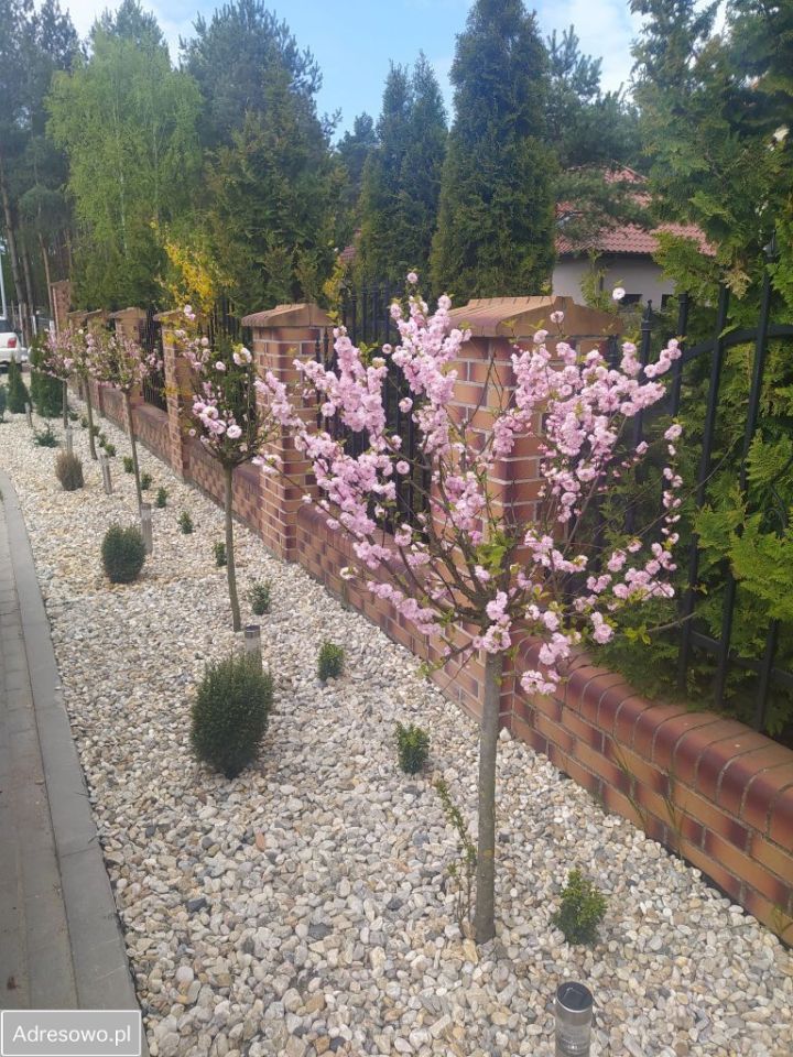 dom wolnostojący, 6 pokoi Wilcze. Zdjęcie 9