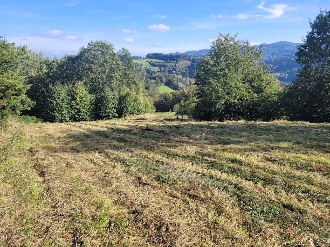 Działka budowlana Młynne Królikówka