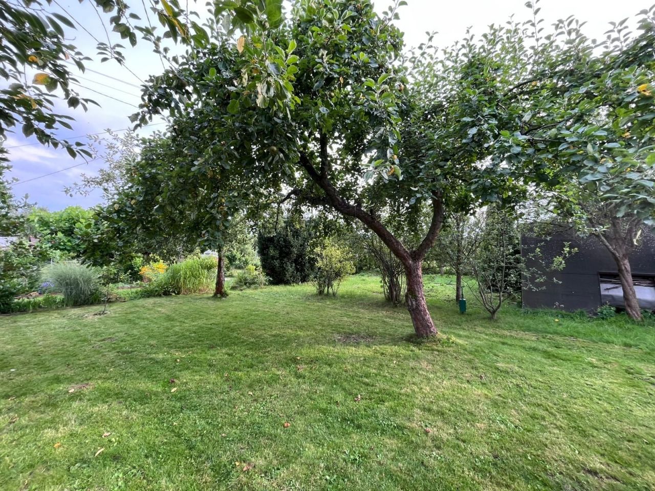 Działka rod Gorlice, ul. Blich