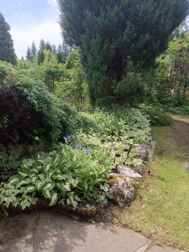 Działka rod Częstochowa Stradom. Zdjęcie 4