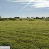 Działka rolna Targowo. Zdjęcie 4