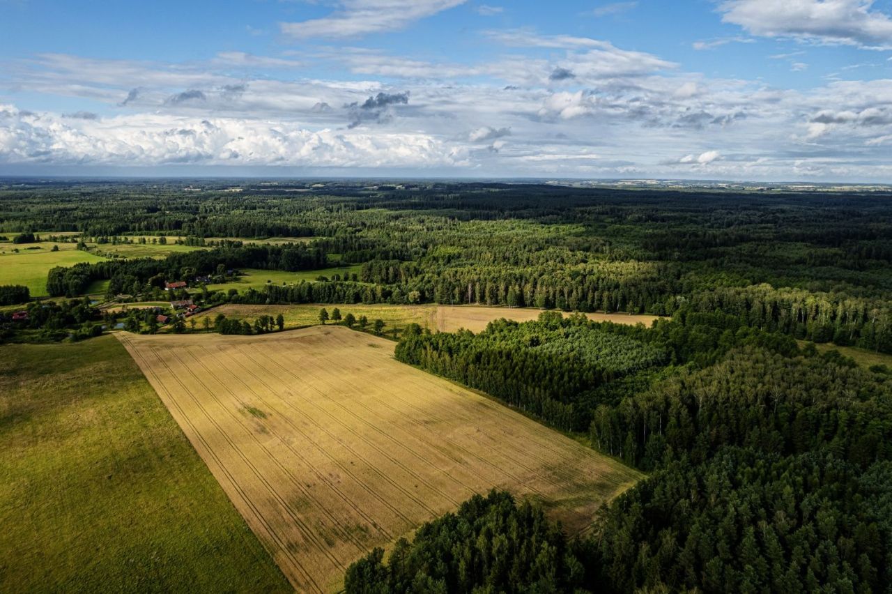 Działka rolna Wilczyny. Zdjęcie 3