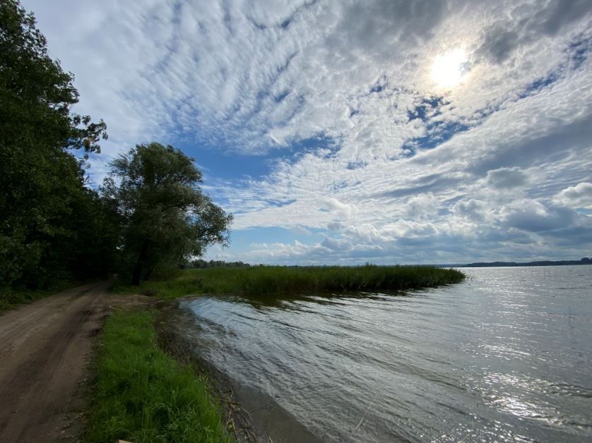 Działka rekreacyjna Dreństwo. Zdjęcie 7