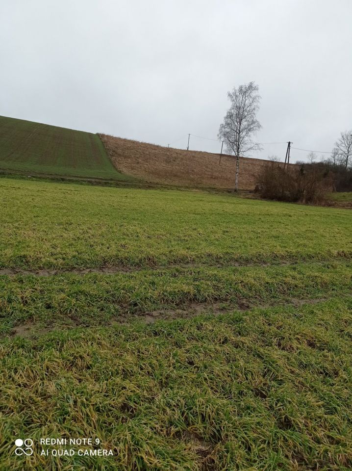 Działka rolno-budowlana Grabowo. Zdjęcie 5