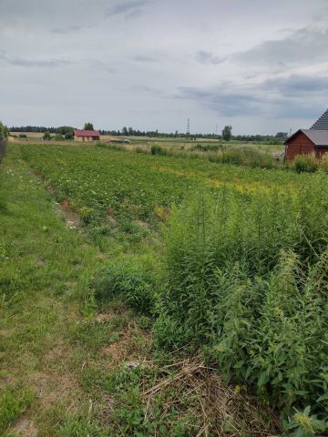 Działka rolno-budowlana Bielszczyzna. Zdjęcie 1