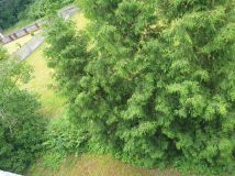 Działka budowlana Kalinowice. Zdjęcie 2