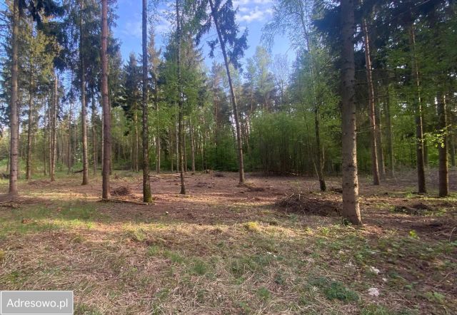 Działka budowlana Książenice. Zdjęcie 1