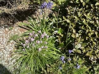 dom wolnostojący, 4 pokoje Bielsko-Biała Lipnik, Władysława Kiernika. Zdjęcie 137