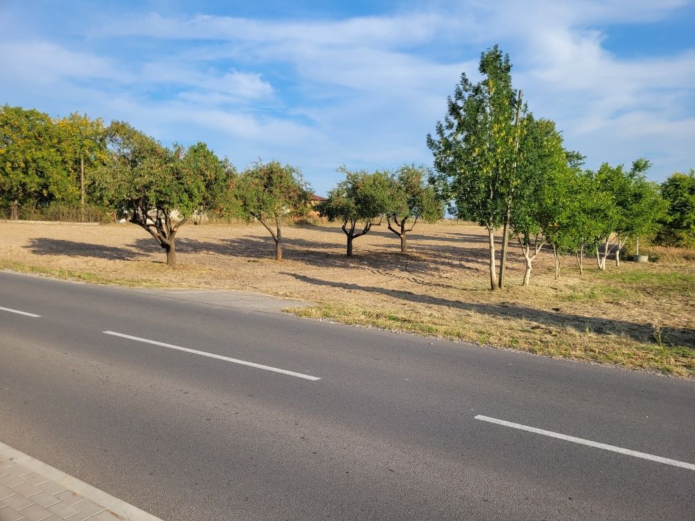 Działka budowlana Piaski. Zdjęcie 1