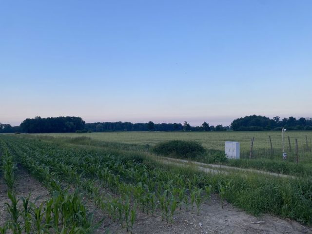 Działka budowlana Karszówek. Zdjęcie 1