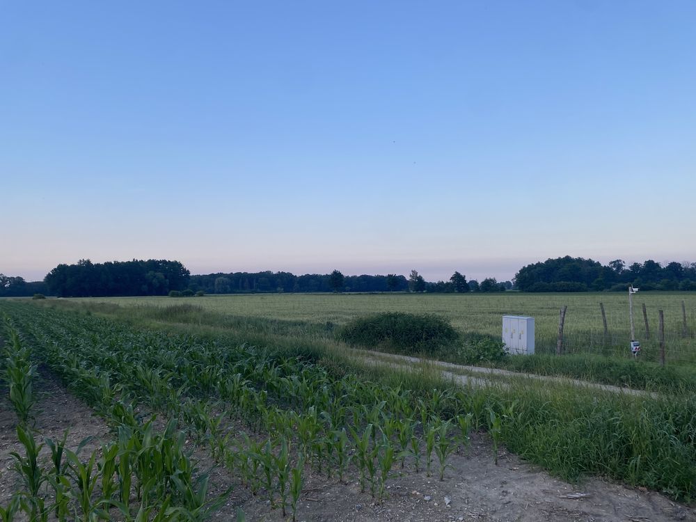 Działka budowlana Karszówek. Zdjęcie 1