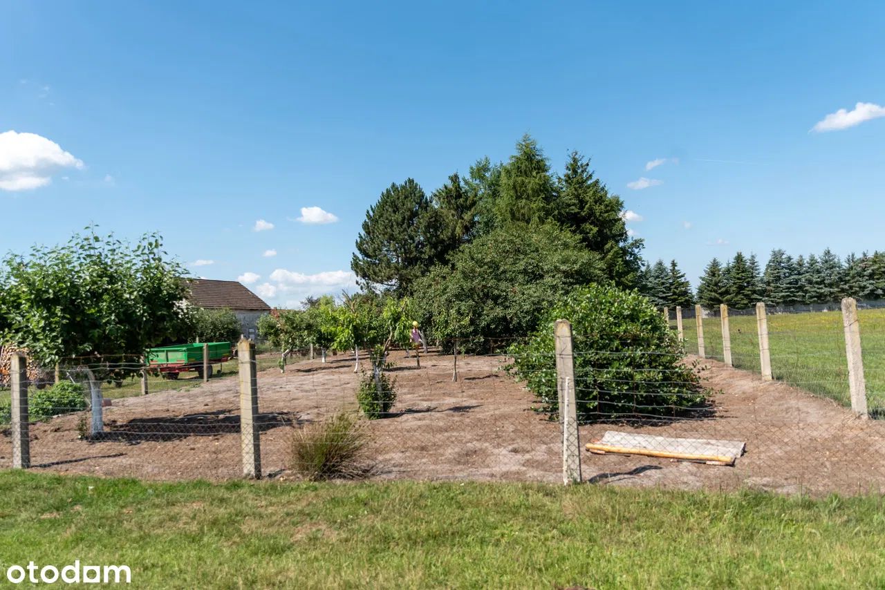 dom wolnostojący, 7 pokoi Budzieszewice. Zdjęcie 17