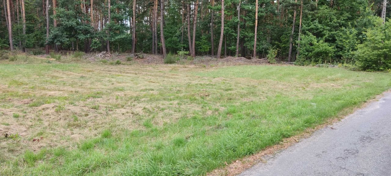 Działka rolno-budowlana Borzęcin Czarnawa. Zdjęcie 4