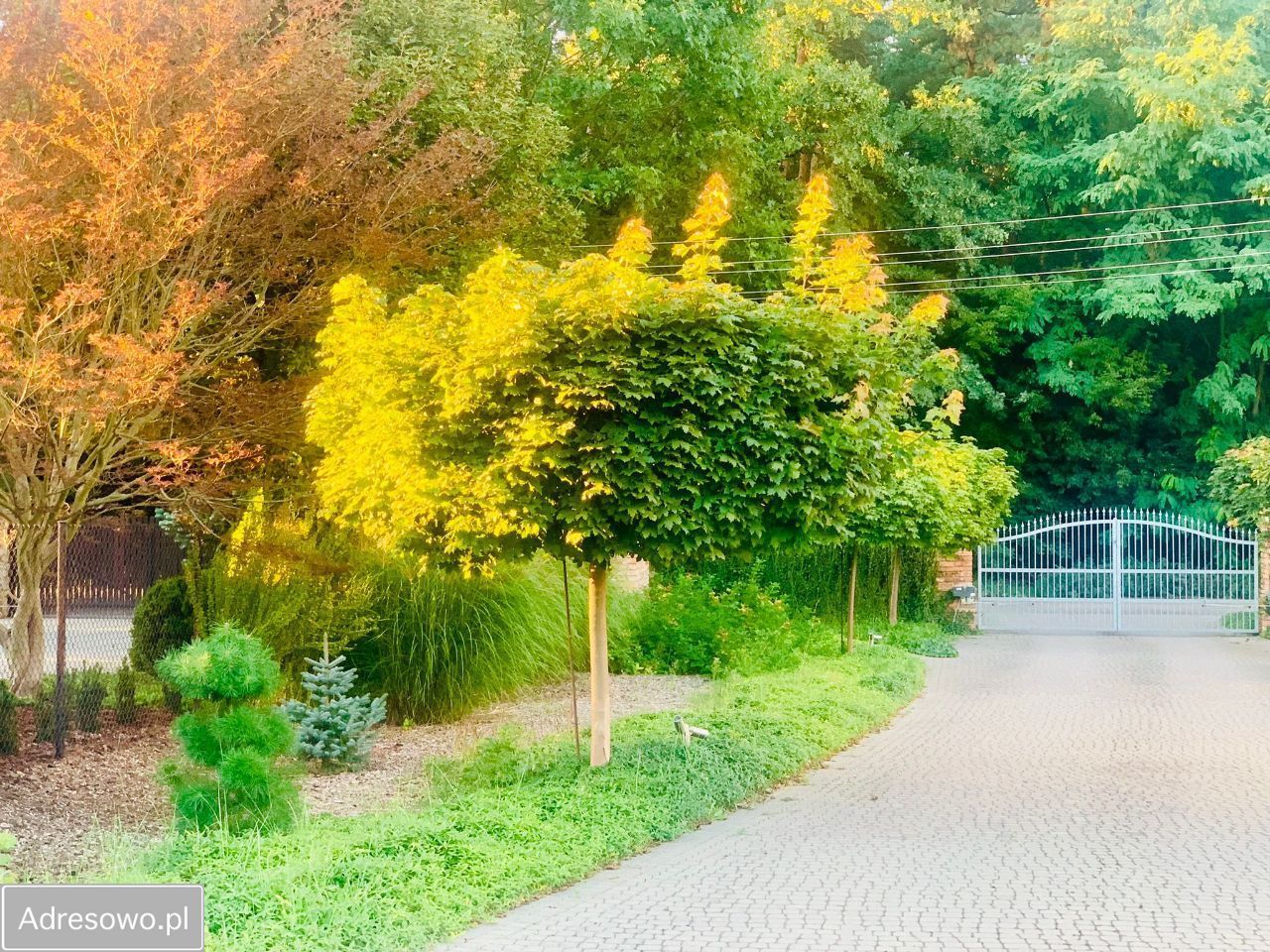 Działka budowlana Częstochowa Grabówka, ul. Gruszowa. Zdjęcie 7