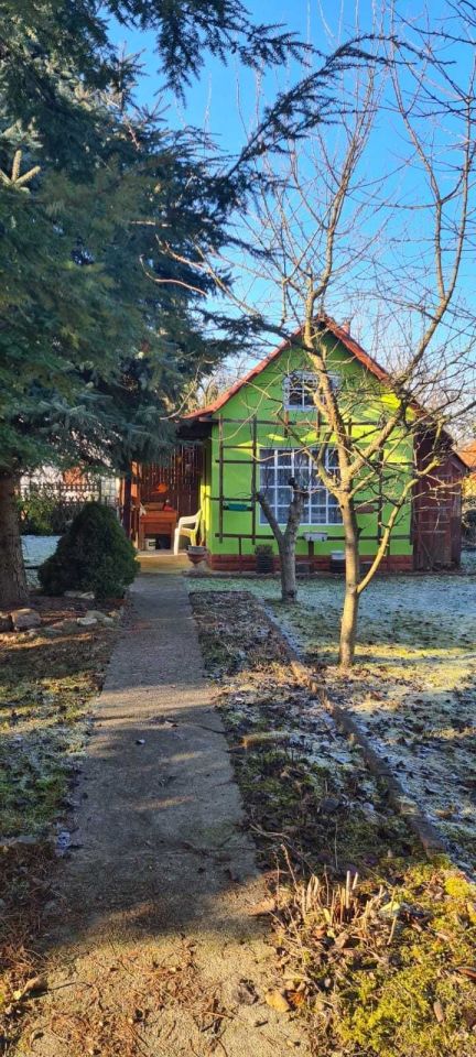 Działka rod Legnica. Zdjęcie 5