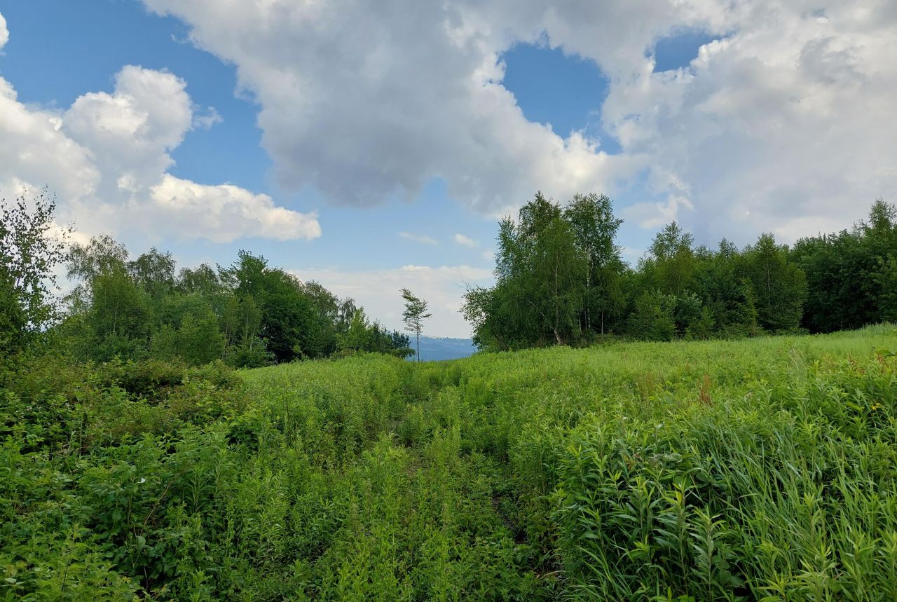 Działka budowlana Rożnów Wiesiółka. Zdjęcie 15