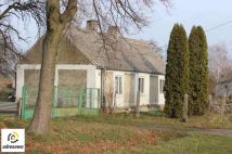 siedlisko Wielenin. Zdjęcie 3