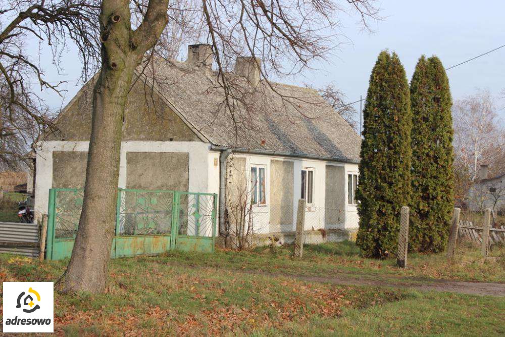 siedlisko Wielenin. Zdjęcie 4