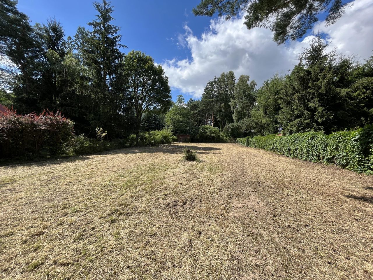 Działka rekreacyjna Skrzeszew, ul. Wczasowa. Zdjęcie 14