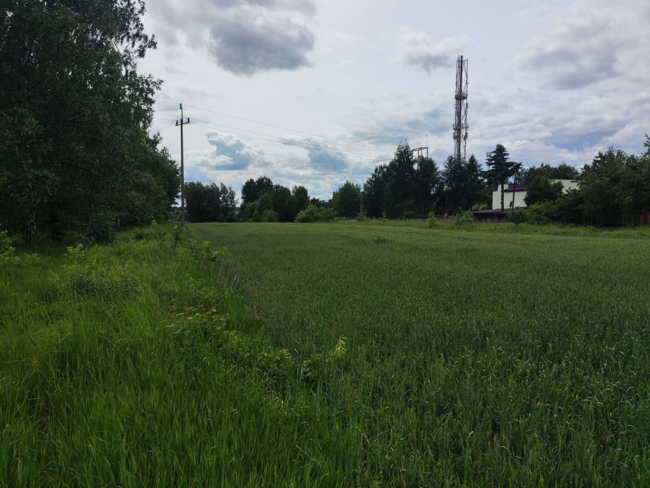 Działka budowlana Mikołów Paniowy, ul. Gliwicka. Zdjęcie 4