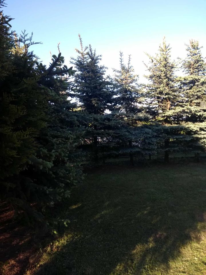 Działka rekreacyjna Żuromin, ul. Nowa. Zdjęcie 8