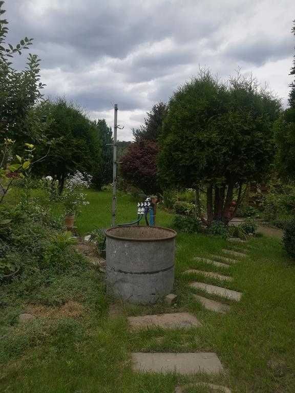 Działka rod Wronki. Zdjęcie 4